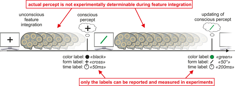 The two-stage model of visual perception. Image: Michael H. Herzog et al., 2016/PLOS Biology